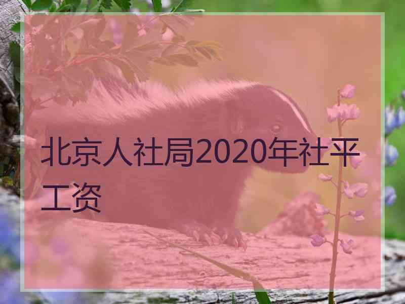 北京人社局2020年社平工资