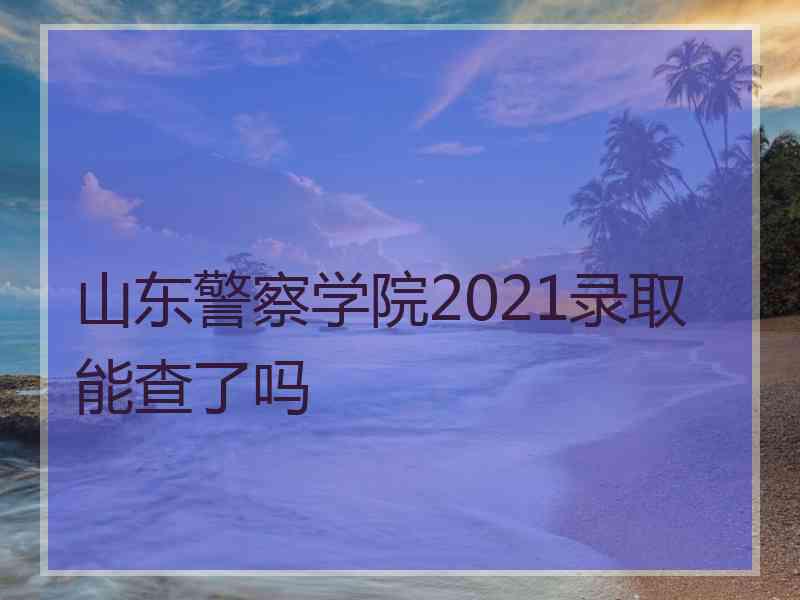 山东警察学院2021录取能查了吗