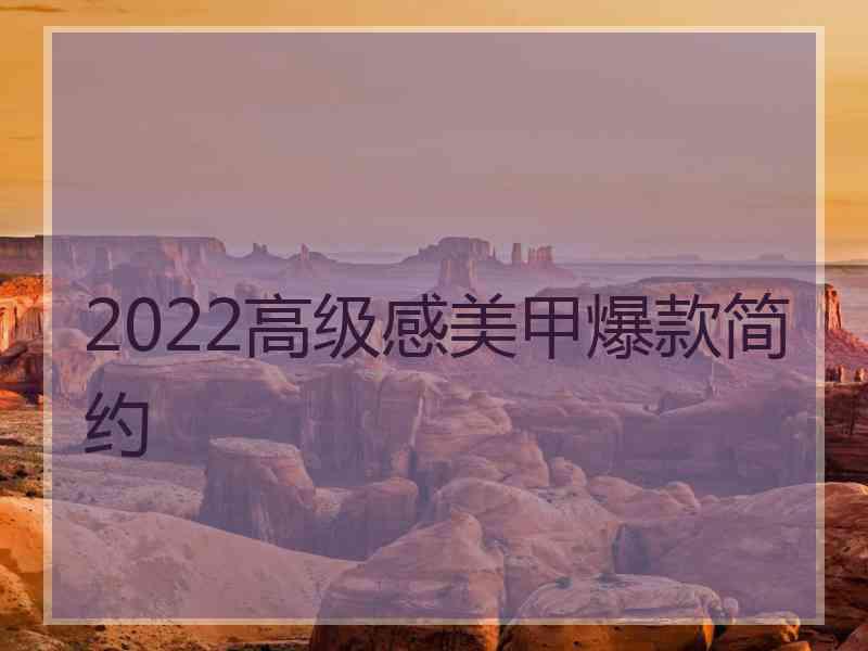 2022高级感美甲爆款简约