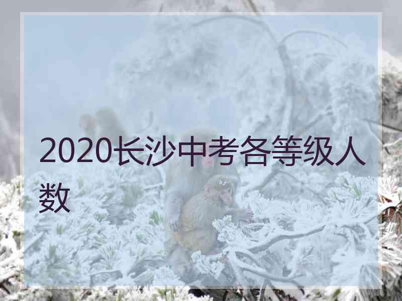 2020长沙中考各等级人数