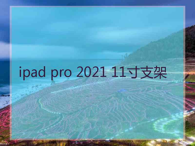 ipad pro 2021 11寸支架