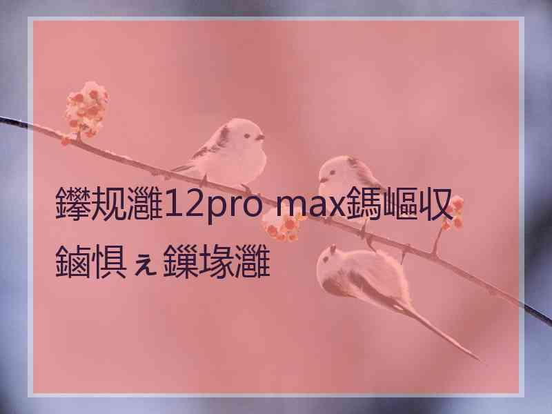 鑻规灉12pro max鎷嶇収鏀惧ぇ鏁堟灉