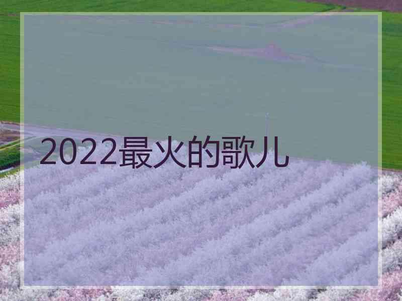 2022最火的歌儿