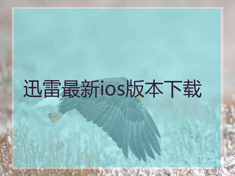 迅雷最新ios版本下载