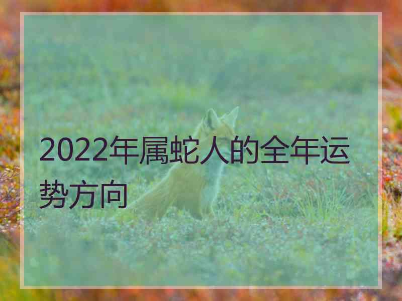 2022年属蛇人的全年运势方向