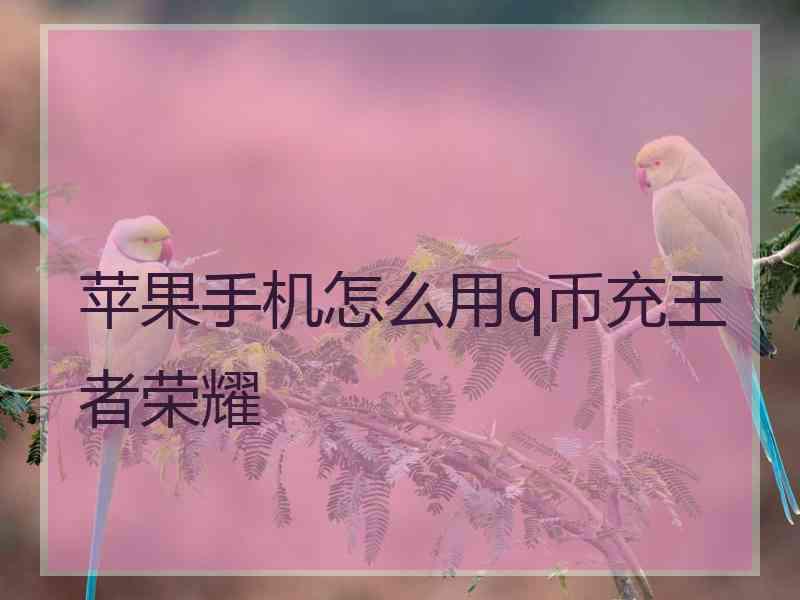 苹果手机怎么用q币充王者荣耀