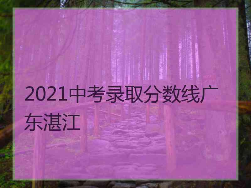 2021中考录取分数线广东湛江