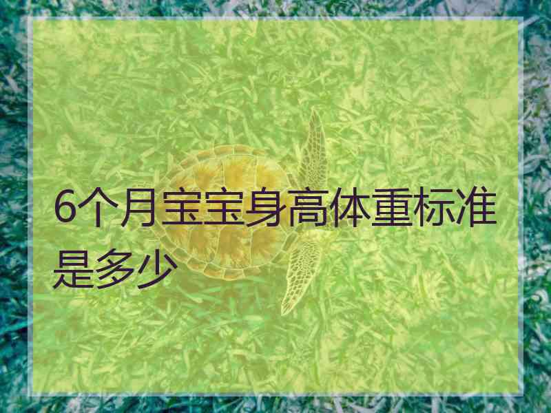 6个月宝宝身高体重标准是多少