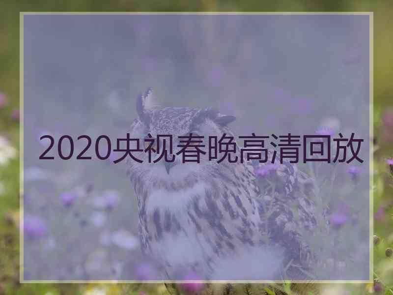 2020央视春晚高清回放