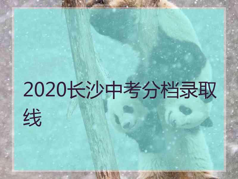 2020长沙中考分档录取线