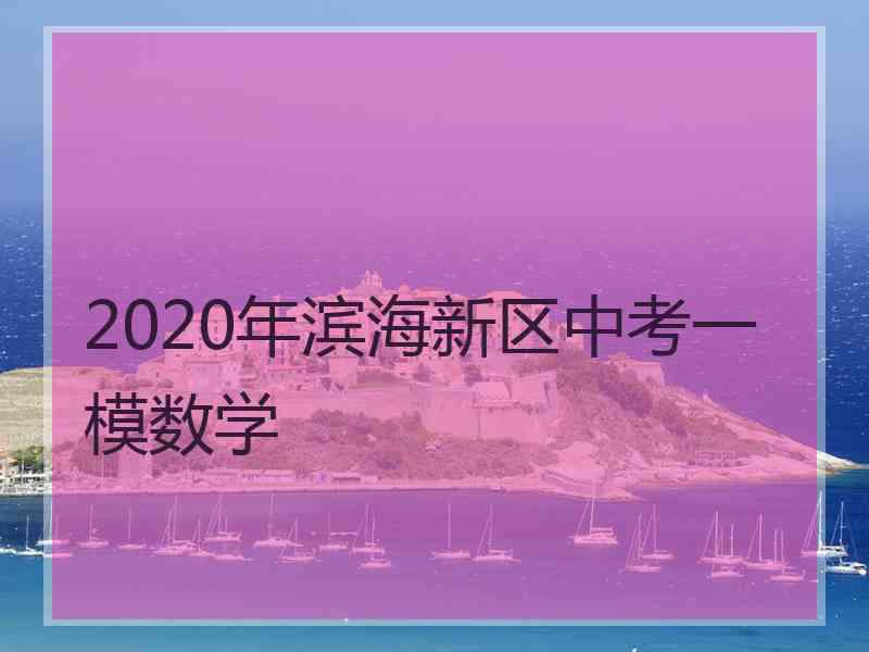 2020年滨海新区中考一模数学