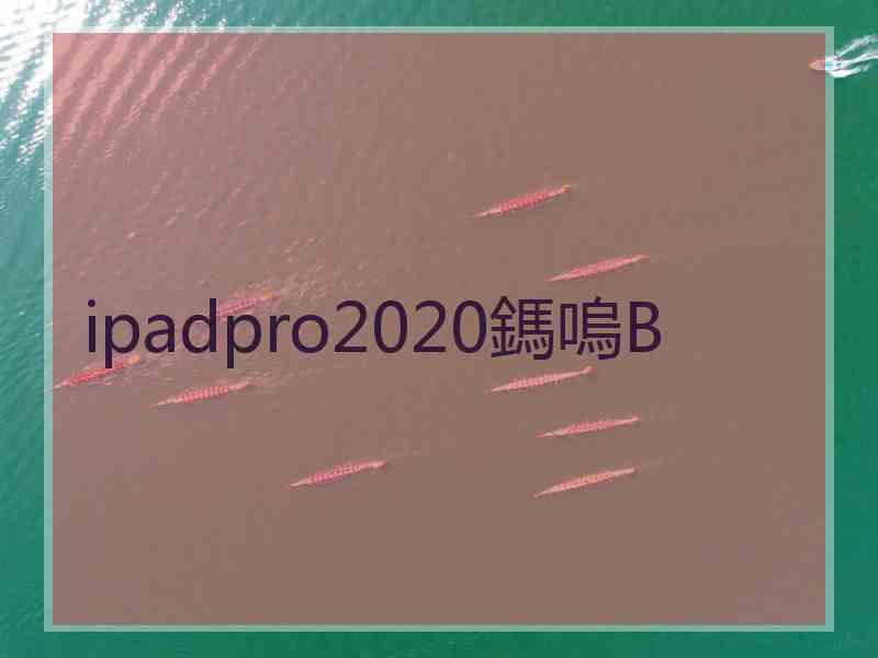 ipadpro2020鎷嗚В