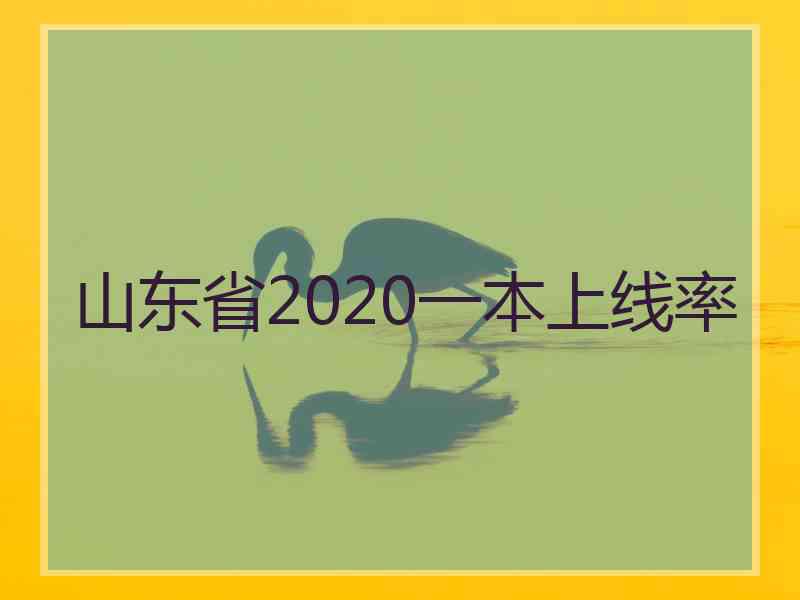 山东省2020一本上线率