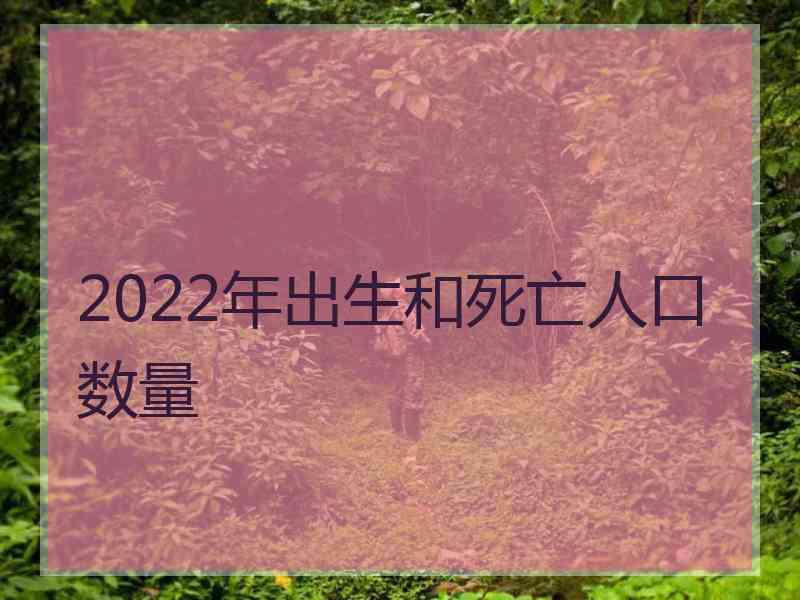 2022年出生和死亡人口数量