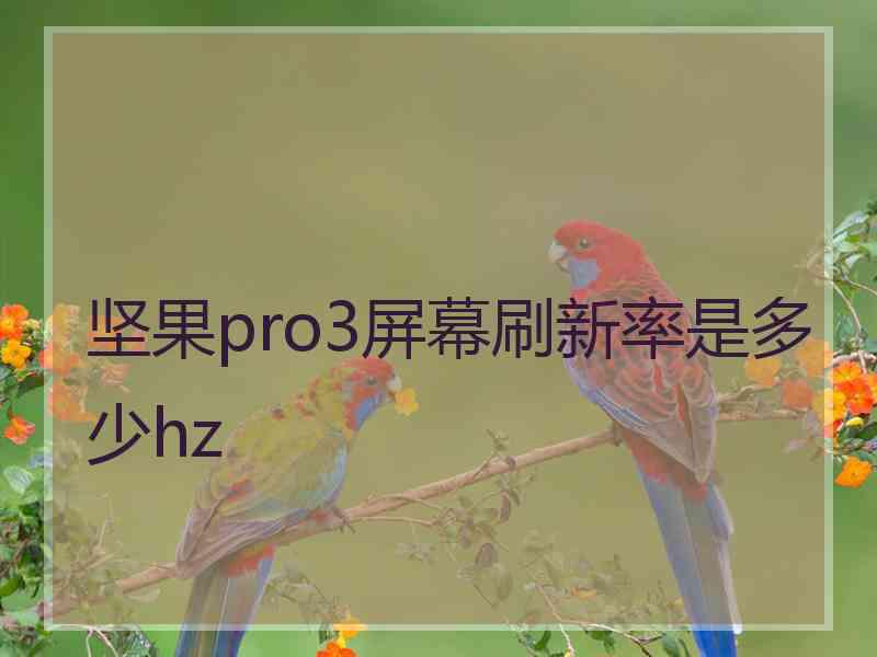 坚果pro3屏幕刷新率是多少hz