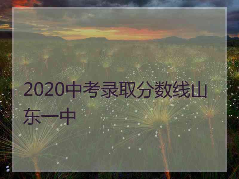 2020中考录取分数线山东一中