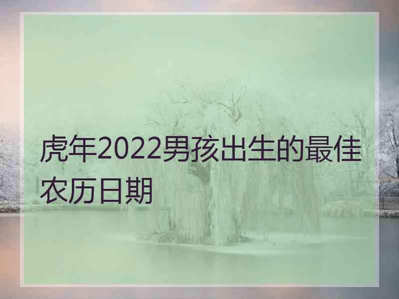 虎年2022男孩出生的最佳农历日期