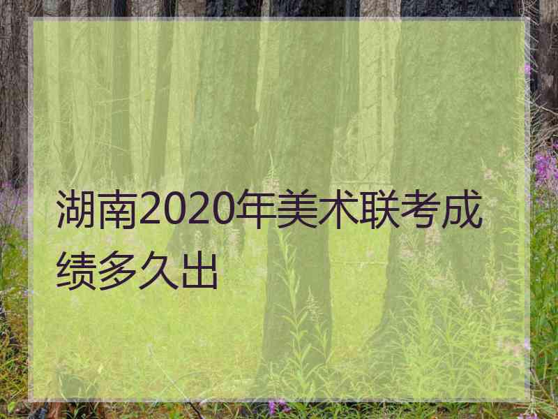 湖南2020年美术联考成绩多久出