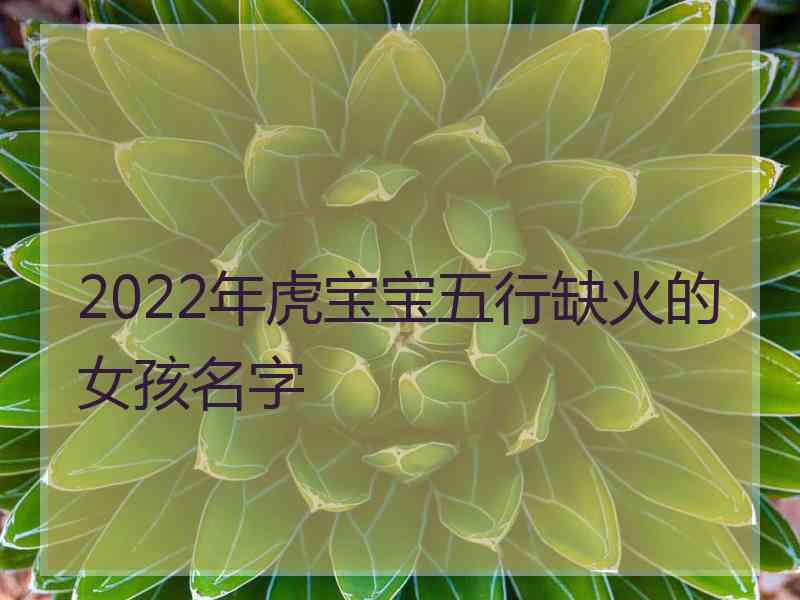 2022年虎宝宝五行缺火的女孩名字