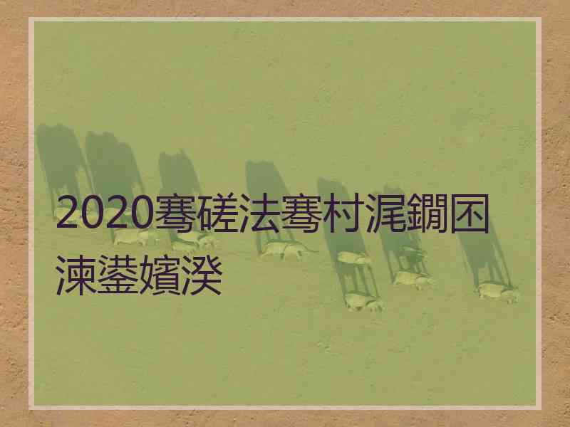 2020骞磋法骞村浘鐗囨湅鍙嬪湀