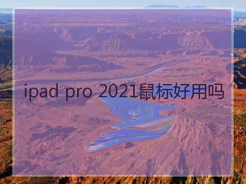 ipad pro 2021鼠标好用吗