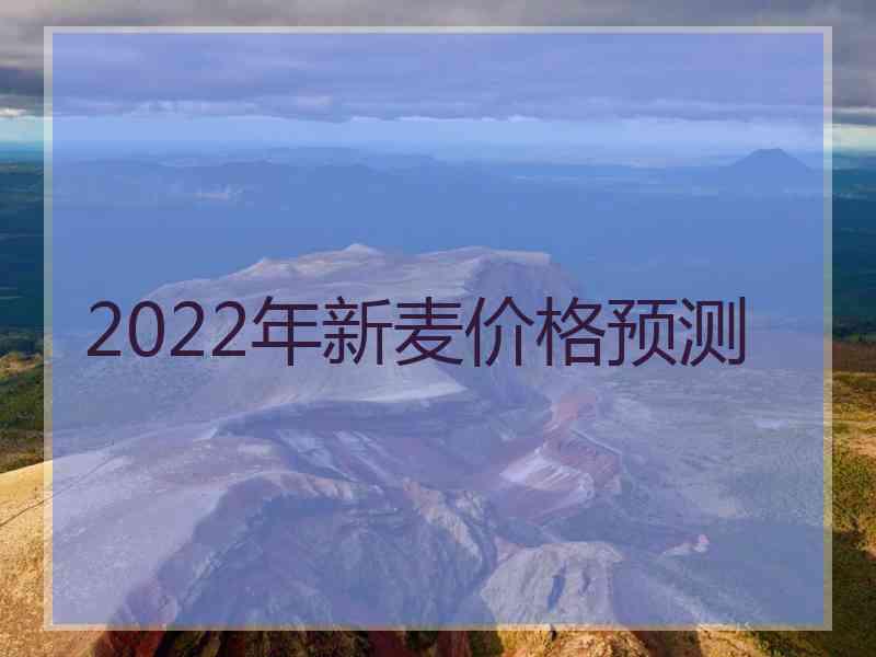 2022年新麦价格预测