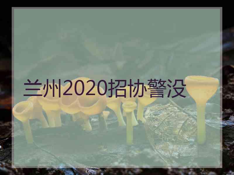 兰州2020招协警没