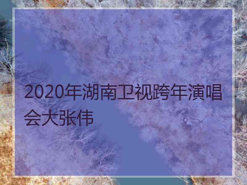 2020年湖南卫视跨年演唱会大张伟