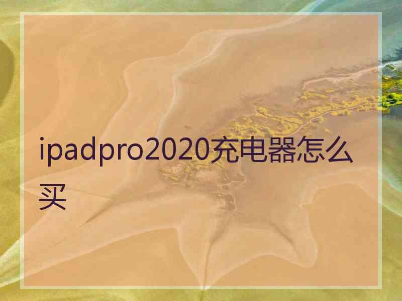 ipadpro2020充电器怎么买