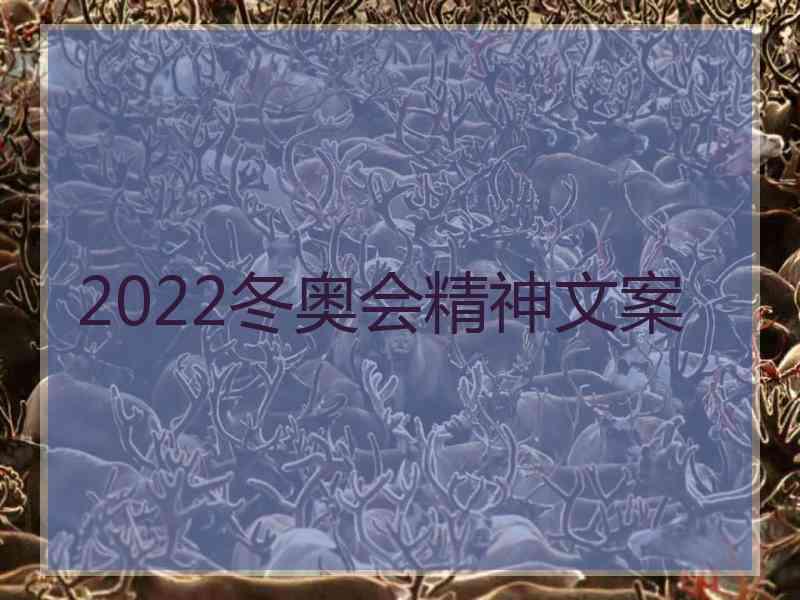 2022冬奥会精神文案