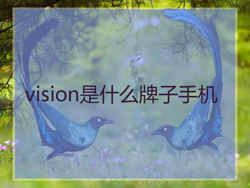 vision是什么牌子手机