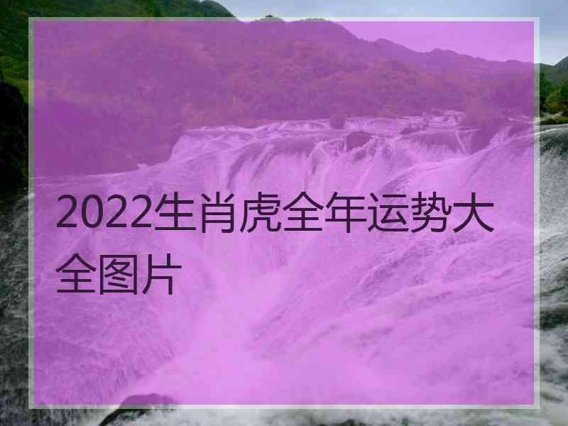 2022生肖虎全年运势大全图片