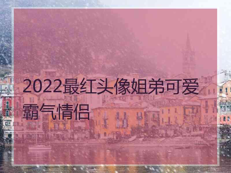 2022最红头像姐弟可爱霸气情侣