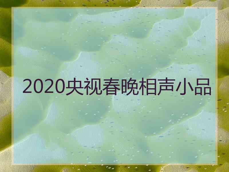 2020央视春晚相声小品