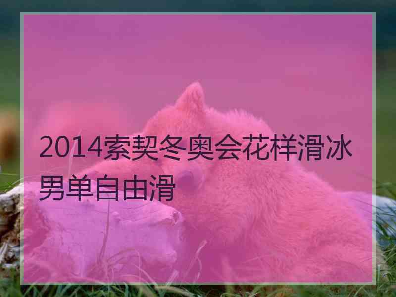 2014索契冬奥会花样滑冰男单自由滑