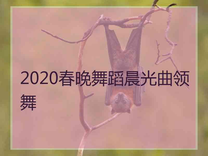 2020春晚舞蹈晨光曲领舞