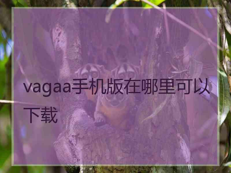 vagaa手机版在哪里可以下载