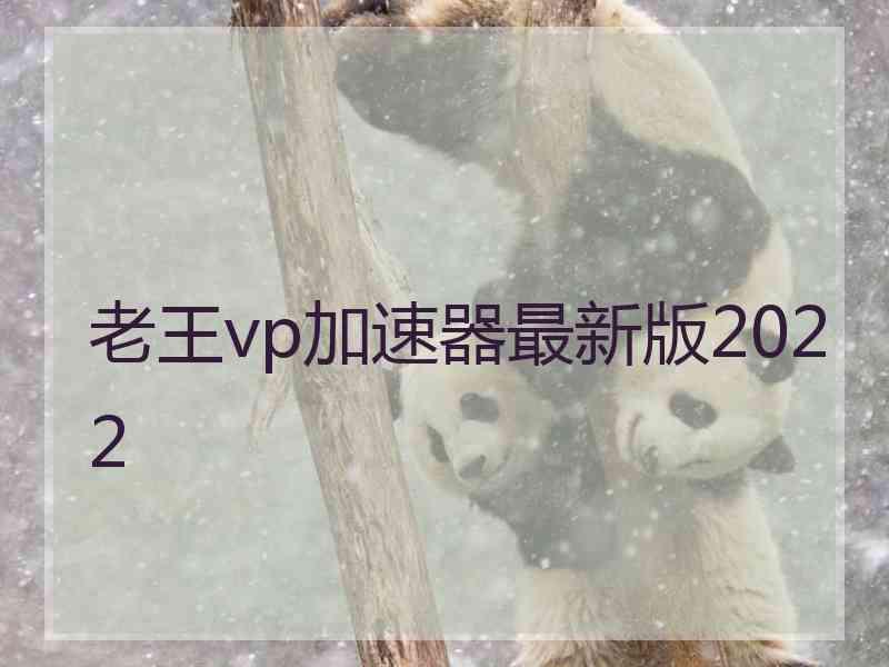 老王vp加速器最新版2022