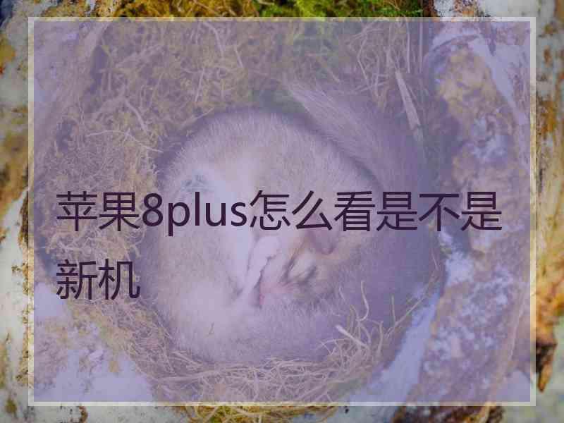 苹果8plus怎么看是不是新机