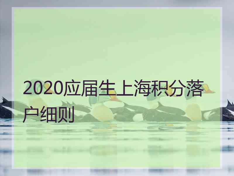 2020应届生上海积分落户细则