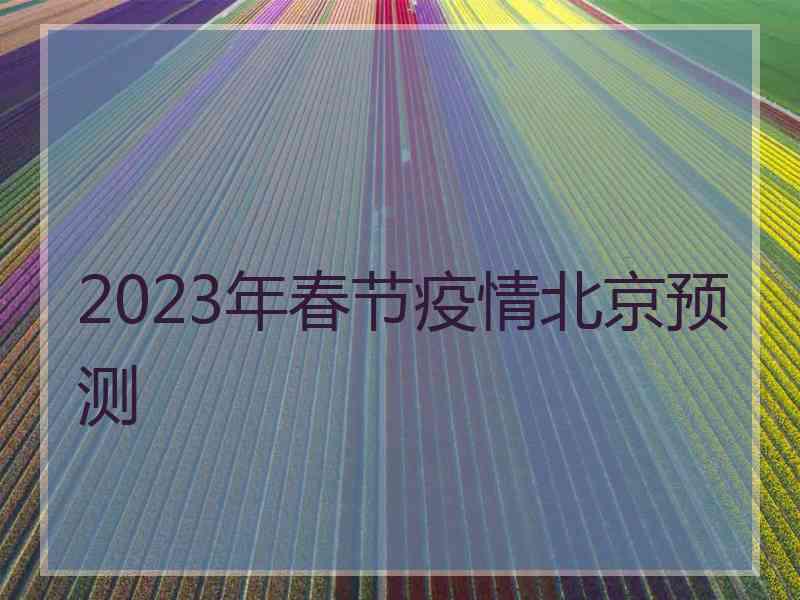 2023年春节疫情北京预测