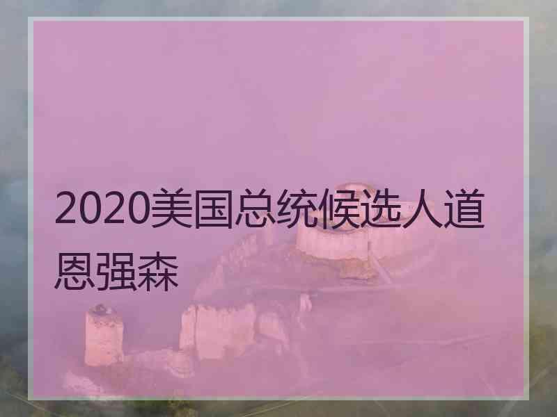 2020美国总统候选人道恩强森