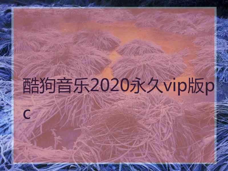 酷狗音乐2020永久vip版pc