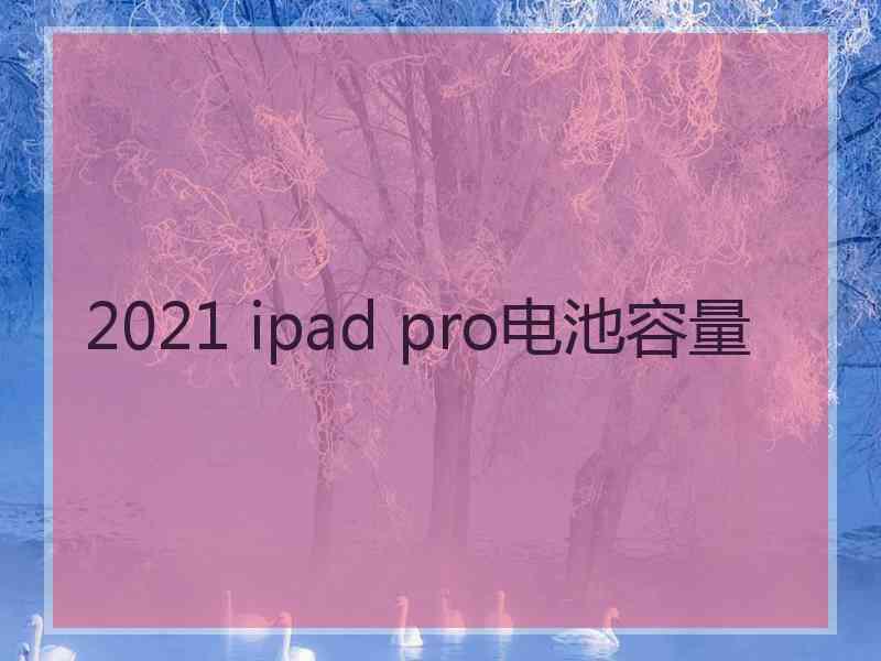 2021 ipad pro电池容量