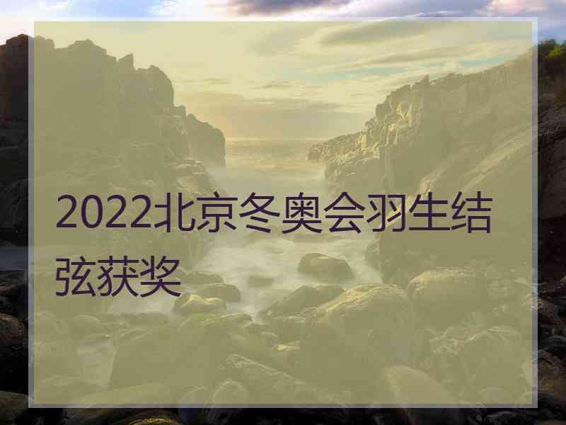 2022北京冬奥会羽生结弦获奖