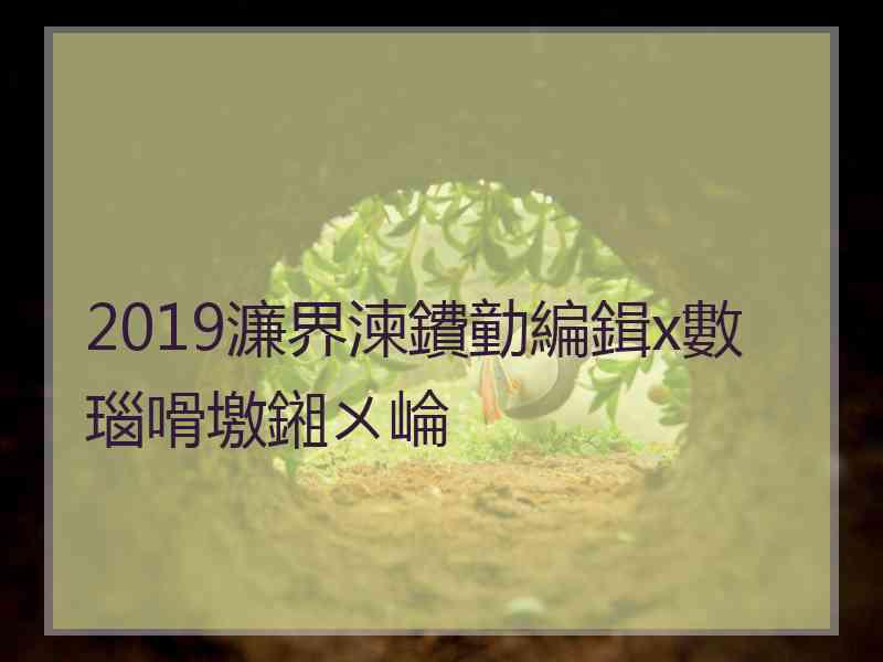 2019濂界湅鐨勭編鍓х數瑙嗗墽鎺ㄨ崘