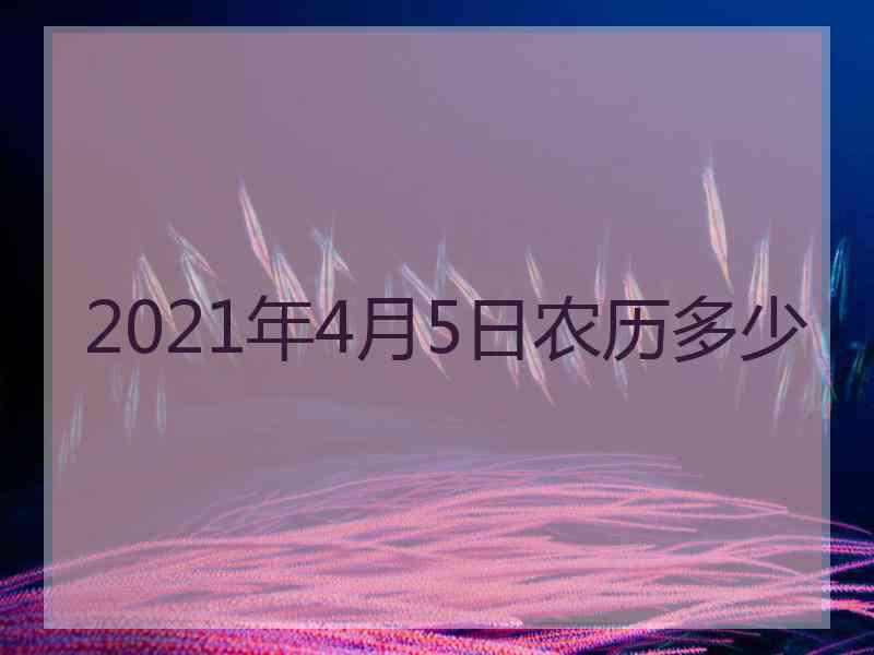 2021年4月5日农历多少