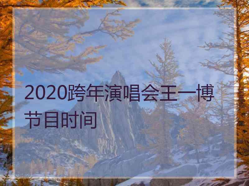 2020跨年演唱会王一博节目时间