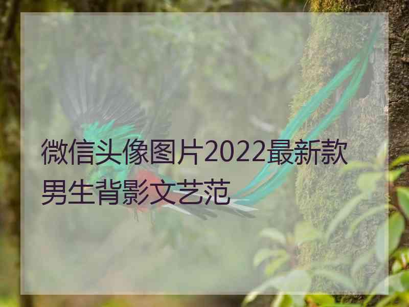 微信头像图片2022最新款男生背影文艺范