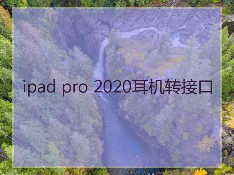 ipad pro 2020耳机转接口